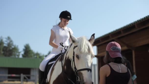 Minsk, Bielorrússia - 19 de julho de 2019: Encerramento de um cavalo com uma menina de jóquei na sela. Vista frontal — Vídeo de Stock