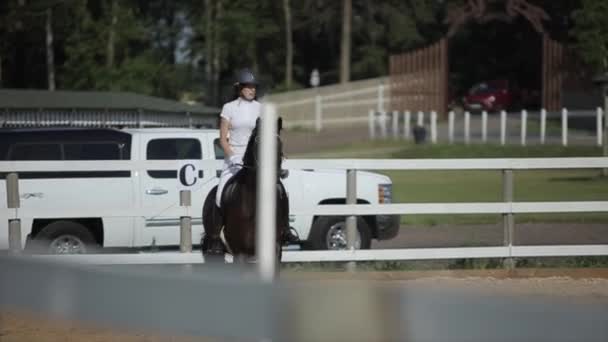Minsk, Bělorusko - 19. července 2019: Kůň zrychluje a přeskakuje bariéru v otevřené aréně na jezdeckých soutěžích. Zavřít — Stock video