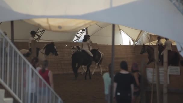 Minsk, Bielorrússia - 19 de julho de 2019: Jovens jóqueis aquecem cavalos antes de competições equestres em arena fechada — Vídeo de Stock