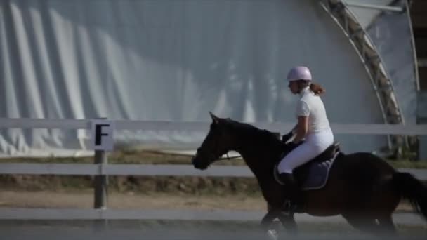 Minsk, Vitryssland - 19 juli 2019: Närbild av en häst som hoppar över en barriär i ridtävlingar med en jockeytjej i sadeln — Stockvideo