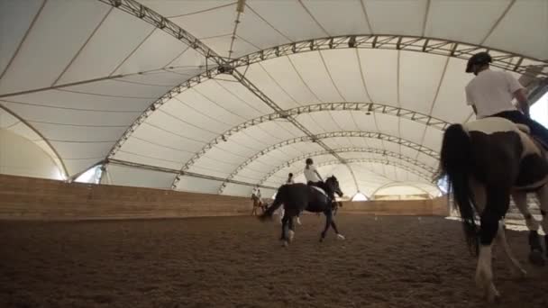 Minsk, Bielorrusia - 19 de julio de 2019: Panorama de un calentamiento de caballos en una arena cerrada antes de las competiciones ecuestres. Vista inferior — Vídeos de Stock