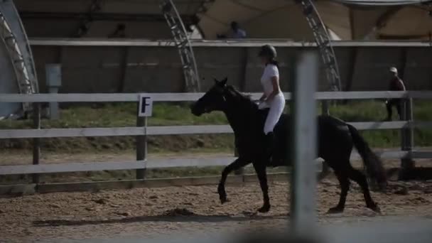 Minsk, Belarus - 19 juli 2019: Close-up van een paard springt over een hindernis in ruiterwedstrijden met een jockey girl in het zadel — Stockvideo