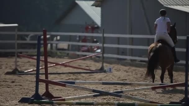 Minsk, Bělorusko - 19. července 2019: Detailní záběr na koně skákajícího přes několik po sobě jdoucích bariér v jezdeckých soutěžích. Pohled zepředu — Stock video
