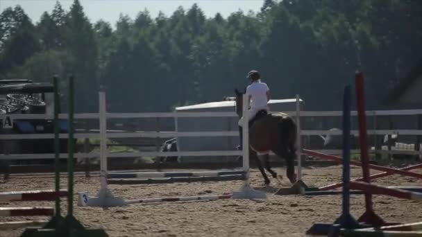 Minsk, Bielorrusia - 19 de julio de 2019: El caballo salta a través de las barreras en las competiciones ecuestres. De cerca. — Vídeo de stock