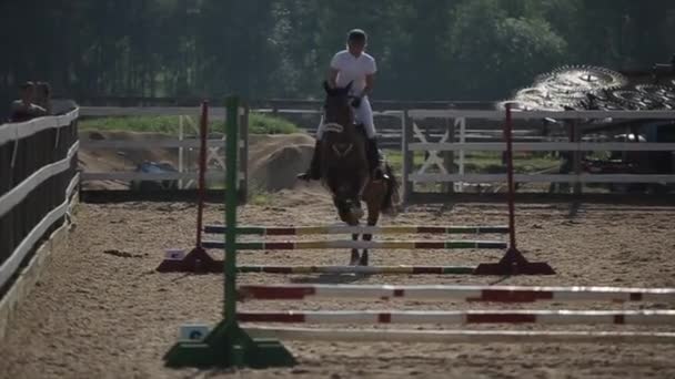 Minsk, Bielorrusia - 19 de julio de 2019: Primer plano de un caballo que salta a través de varias barreras consecutivas en las competiciones ecuestres. Vista frontal — Vídeo de stock