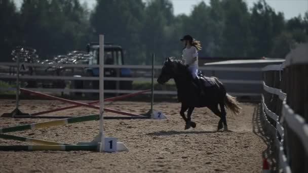 Minsk, Weißrussland - 19. Juli 2019: Das Pferd macht einen Kurug und springt dann bei Reitturnieren über die Barriere — Stockvideo