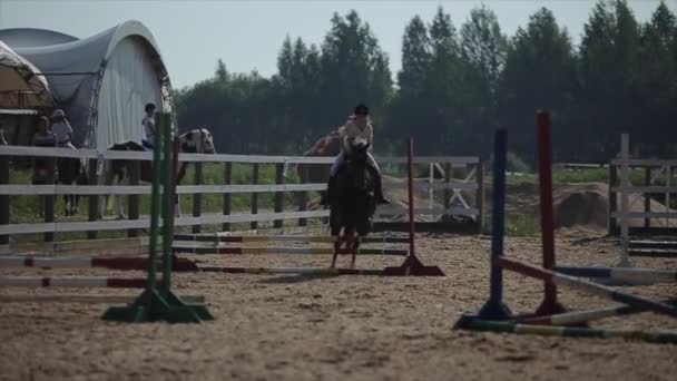 Minsk, Belarus - 19 juli 2019: Paard met een jonge jockey in het zadel springt over de hindernissen in de wedstrijd — Stockvideo