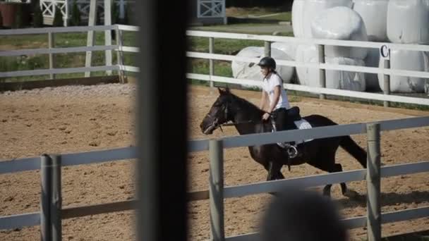 Minsk, Bielorrússia - 19 de julho de 2019: Movimento lento de saltar sobre a barreira em competições equestres. Vista do rostro — Vídeo de Stock