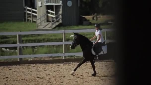 Minsk, Bielorrusia - 19 de julio de 2019: En las competiciones ecuestres, el caballo galopa y salta por encima de las barreras. Vista lateral — Vídeo de stock