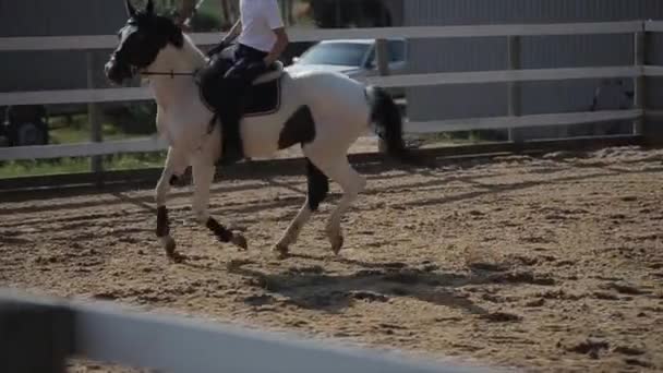 Минск, Беларусь - 19 июля 2019 года: Медленное движение скачущей лошади с жокеем в седле на конных соревнованиях — стоковое видео
