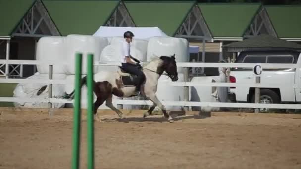 Minsk, Bielorrússia - 19 de julho de 2019: Um jóquei acelera em um cavalo e pula sobre uma barreira em competições equestres. Close-up — Vídeo de Stock