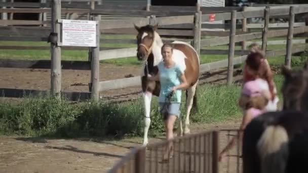 Минск, Беларусь - 19 июля 2019 года: Девушка-подросток ведет красивую лошадь под уздечкой вдоль дороги между загонами на лошадином ранчо — стоковое видео
