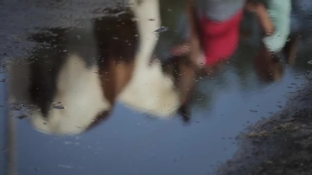 Minsk, Bielorussia - 19 luglio 2019: riflesso in una pozzanghera mentre le ragazze adolescenti lavano e puliscono un cavallo. Colpo sfocato — Video Stock