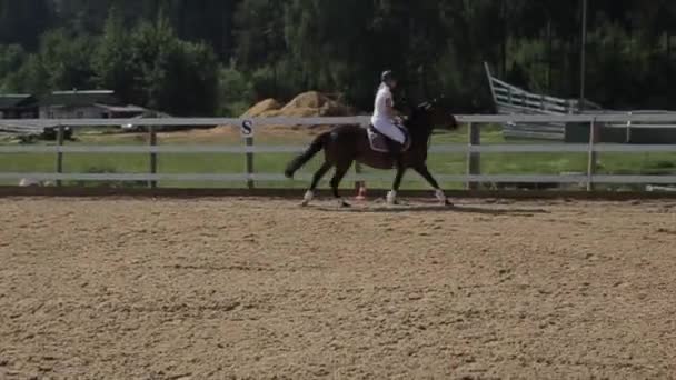 Minsk, Bielorrússia - 19 de julho de 2019: Movimento lento do cavalo pulando sobre a barreira em competições equestres — Vídeo de Stock