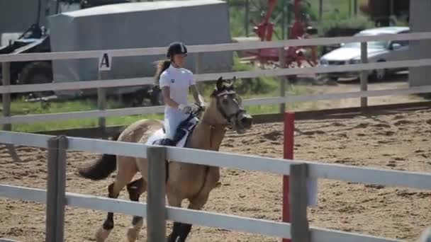 Мінськ, Білорусь - 19 липня 2019: Дівчина-спортсмен легко управляє конем, перестрибуючи через бар'єри в кінних змаганнях. Підсумок. — стокове відео