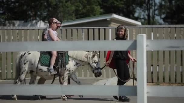 Minsk, Bielorussia - 19 luglio 2019: un ragazzino cavalca un pony sui sentieri di un ranch equestre. Vista laterale — Video Stock