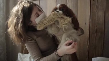 Tıbbi maske takan sevimli bir kız kendini izole ettiği süre boyunca spanyel 'iyle evde oynuyor. Coronavirus. COVID-19. Yavaş çekim