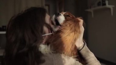 Bir köpeğin metresine sıhhiye maskesiyle sarılmasının yavaş çekim videosu. Coronavirüs. COVID-19