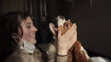 Evde karantina sırasında spanyeliyle kucaklaşan gülümseyen güzel bir genç kız. Coronavirüs. COVID-19.