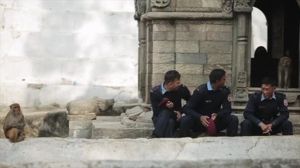 Katmandú, Nepal - 14 de noviembre de 2019: Tres policías nepaleses sentados, hablando, sonriendo cerca de un templo, ruinas en Katmandú Nepal. Monos caminando por aquí. Tomando fotos . — Vídeos de Stock