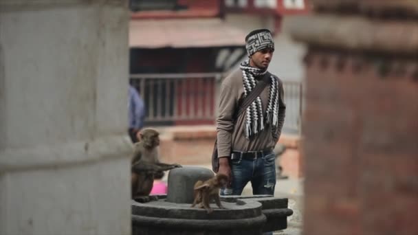 Kathmandu, Nepál - 14. listopadu 2019: Divoká opice hrající si poblíž nepalského muže. Kathmandu, Nepál. — Stock video