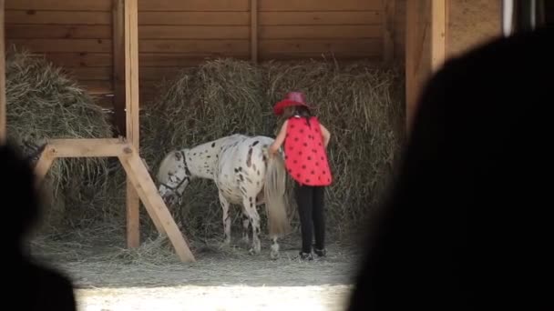 Minsk, Bělorusko - 19. července 2019: Malá holčička v klobouku česá a splétá culíky, zatímco jí seno ve stáji na ranči. Zadní pohled — Stock video