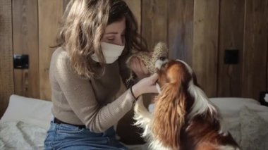 Evde karantinada, koruyucu maskeli genç bir kız köpeğiyle oynuyor. Coronavirus. COVID-19