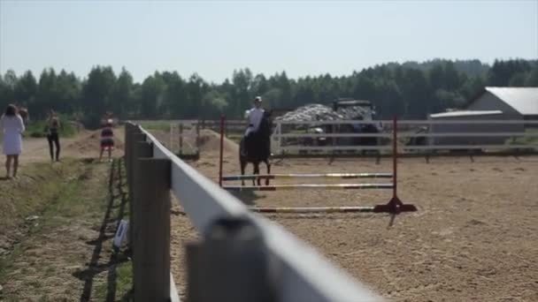 Minsk, Bielorussia - 19 luglio 2019: Un cavallo con una ragazza fantino in sella salta oltre diverse barriere nelle competizioni equestri. Primo piano — Video Stock