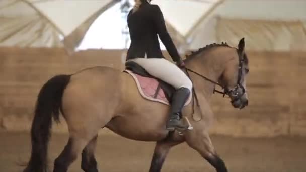 ミンスク、ベラルーシ- 19 7月2019:牧場屋内アリーナでの馬術競技で美しい茶色の馬に鞍の若い女性の馬 — ストック動画