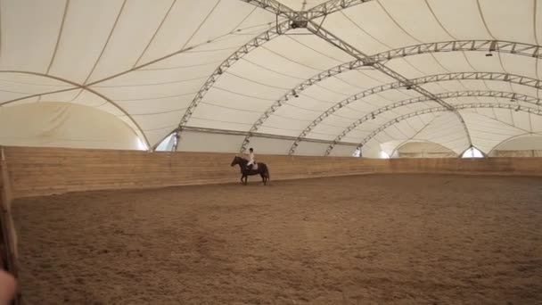 민스크, 벨라루스 - 2019 년 7 월 19 일: 젊은 여성 기수가 말을 타고 실내에 있는 대형 승마 경기장에서 말 안장을 타는 모습 — 비디오