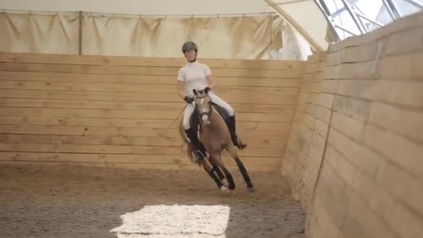 Minsk, Bielorrusia - 19 de julio de 2019: Joven jinete monta un caballo en competiciones de doma en el rancho ecuestre — Vídeo de stock