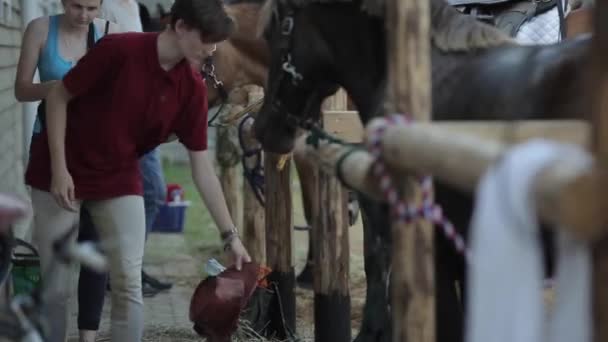 Минск, Беларусь - 19 июля 2019 года: Подростки ходят по ранчо и гладят лошадей, стоящих в загонах на свежем воздухе. Крупный план — стоковое видео