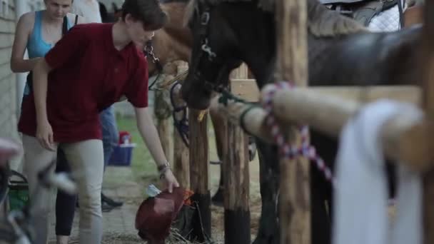 Minsk, Bielorrusia - 19 de julio de 2019: Los adolescentes caminan por el rancho y acarician a los caballos de pie en corrales al aire libre. Primer plano — Vídeo de stock