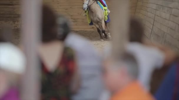Minsk, Bělorusko - 19. července 2019: Detailní záběr na nohy koně běžícího před diváky na ranči. Rozmazané popředí — Stock video