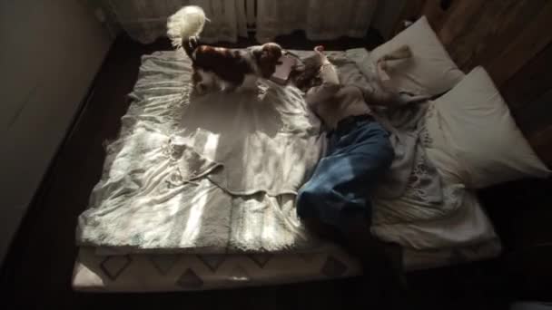 在自我隔离期间，一位戴着防护面具的年轻女子和她的狗在床上玩耍。从上面看，Coronavirus 。COVID-19 — 图库视频影像