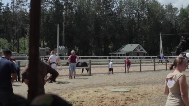 Minsk, Bielorrússia - 19 de julho de 2019: A família descansa em um rancho rural e a cavalo em um curral contra um fundo florestal — Vídeo de Stock