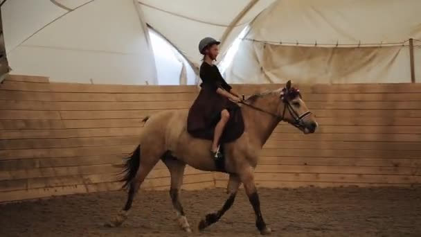 민스크, 벨라루스 - 2019 년 7 월 19 일: 아름다운 십 대 소녀, 말을 타고 실내 경기장에서 승마하는 모습 — 비디오