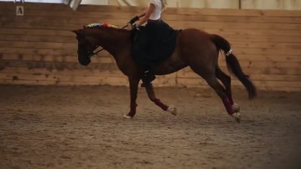 Minsk, Bielorrússia - 19 de julho de 2019: Linda jovem loira galopando na sela em um cavalo com uma crina lindamente trançada em uma arena interior em um rancho — Vídeo de Stock