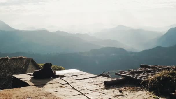 Egy kutya fekszik a tetőn. Hegyvidéki táj. Nepál, falu. — Stock videók