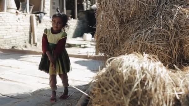 Pokhara,ネパール- 18 11月2019:かわいい恥ずかしがり屋の小さなネパール人の女の子.村、干し草. — ストック動画