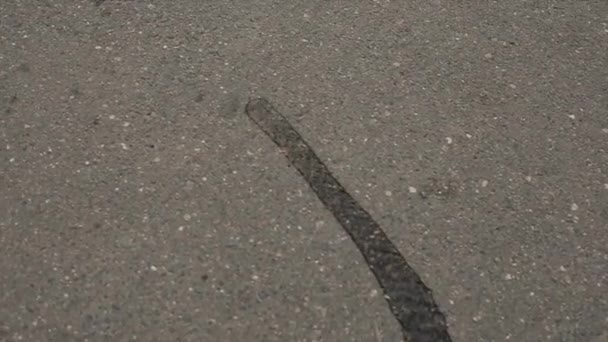 Water flows in a thin trickle along the gray cracked asphalt of the road. Close-up — Stock Video