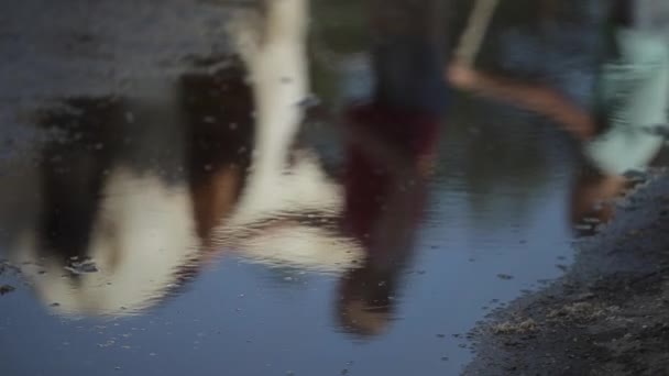Minsk, Belarus - 19 July 2019: Reflected in a puddle as teenage girls wash and clean a horse. Blurred shot — Stock Video