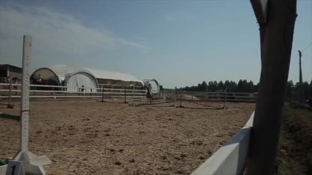 Мінськ, Білорусь - 19 липня 2019: Великий план скачки коня з жокейкою в сідлі на кінних змаганнях. Сторона зору — стокове відео