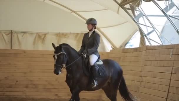 Minsk, Bielorussia - 19 luglio 2019: Una bella fantina in sella su un bel cavallo su un dressage in un recinto chiuso su un ranch di cavalli — Video Stock