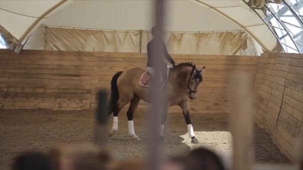 Минск, Беларусь - 19 июля 2019 года: Красивая жокей в седле на красивой лошади на выездке в закрытом загоне на лошадином ранчо — стоковое видео
