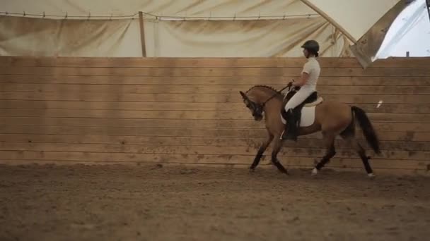 Minsk, Belarus - 19 juli 2019: Een prachtig galopperend paard met een jonge mooie vrouwelijke jockey in het zadel op een paardenranch dressuurconcours — Stockvideo