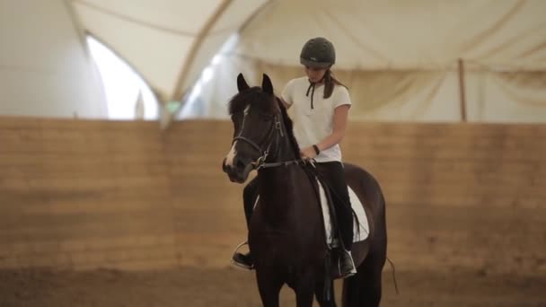 Minsk, Weißrussland - 19. Juli 2019: Junge Jockeyspielerin reitet bei Dressurwettbewerben auf Pferderanch — Stockvideo