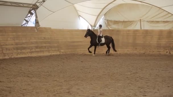 ミンスク、ベラルーシ- 19 7月2019:若い女性のジョッキーは馬術牧場で馬場馬術競技で馬に乗る — ストック動画