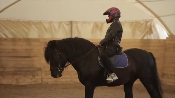 白俄罗斯明斯克- 2019年7月19日：一匹美丽的黑马骑着马，骑着摩托车头盔，站在牧场的竞技场上张开嘴 — 图库视频影像