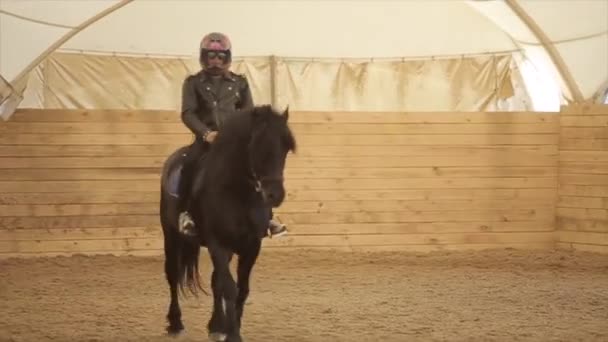 Minsk, Weißrussland - 19. Juli 2019: Schöner dunkler Pferderitt, der seine Zunge in der Arena auf einer Ranch ausstreckt, mit einem Reiter mit Motorradhelm — Stockvideo